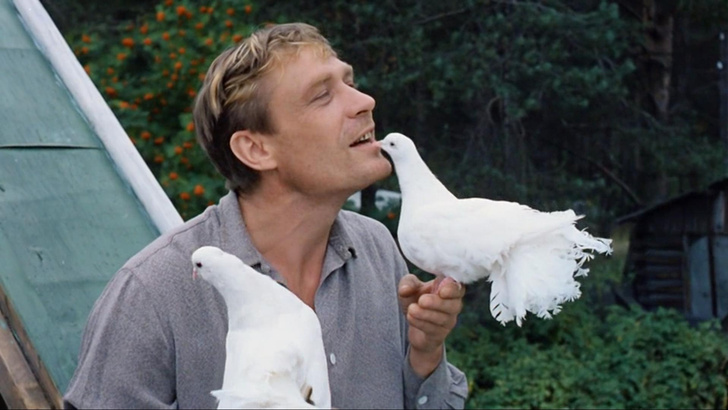 Для зрителя из СССР непроходим этот смешной тест по всенародно любимой кинокомедии «Любовь и голуби»