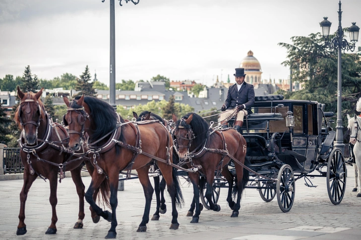 Мадрид, Испания, 30 апреля 2023 года. Сцена реконструкции боев перед Королевским дворцом в Мадриде, утро 2 мая 1808 года. | Источник: AlvaroMunozGuzman/Shutterstock/Fotodom.ru