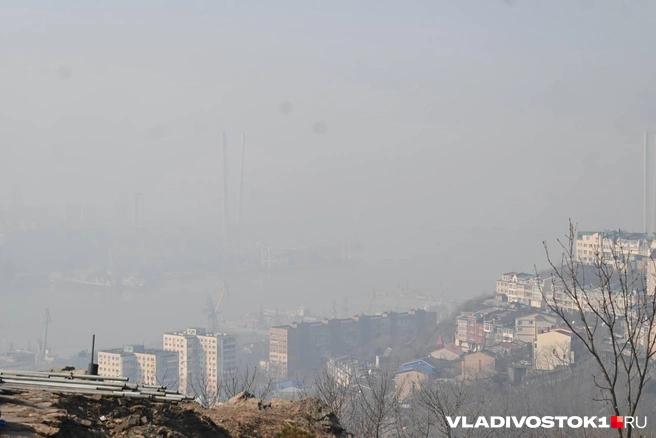 Приморье горит — Владивосток задыхается | Источник: Елена Буйвол / VLADIVOSTOK1.RU