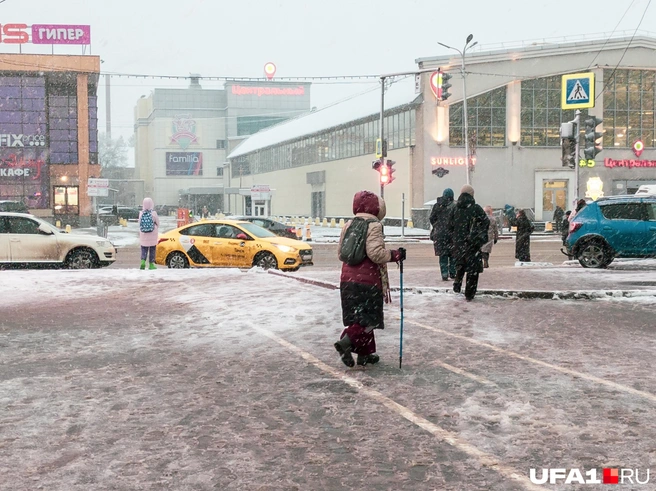 Правильный атрибут для прогулок