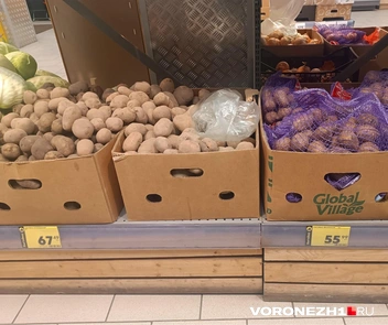 Столько в «Пятерочке» стоит картофель | Источник: Алёна Воропаева / Voronezh1.ru