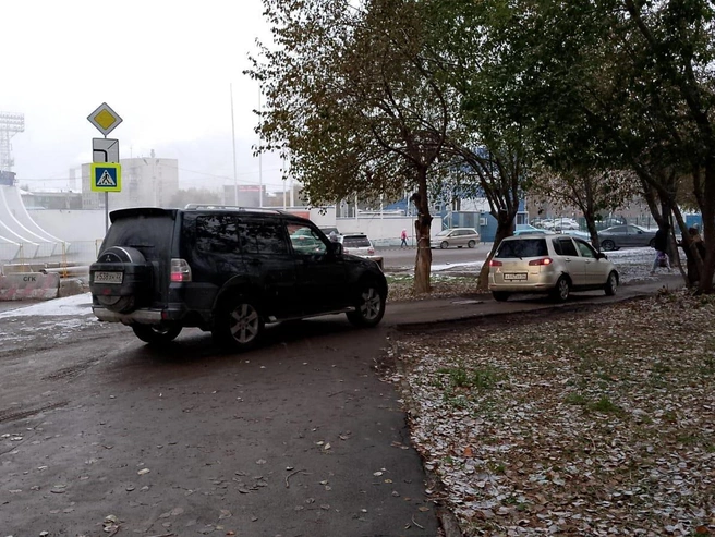 Возле участка установлен знак пешеходного перехода | Источник: читательница Ольга