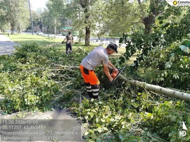 Упавших деревьев слишком много  | Источник: администрация Челябинска