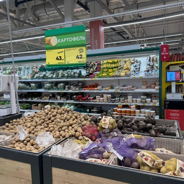 Картофель | Источник: Дарья Гранкина / 26.RU