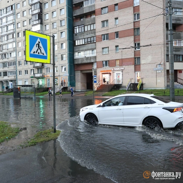 Источник: Сергей Михайличенко / FONTANKA.RU