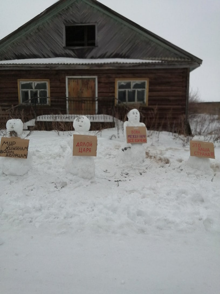 В Архангельской области полиция разогнала несанкционированный митинг снеговиков (много фото)
