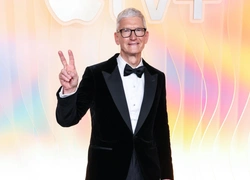 Зарплата генерального директора Apple, Тима Кука, «упала» до 74,3 миллионов долларов