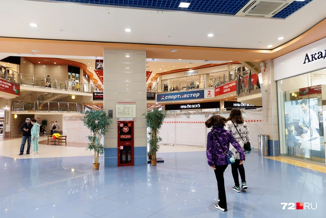 Источник: Ирина Шарова / 72.RU