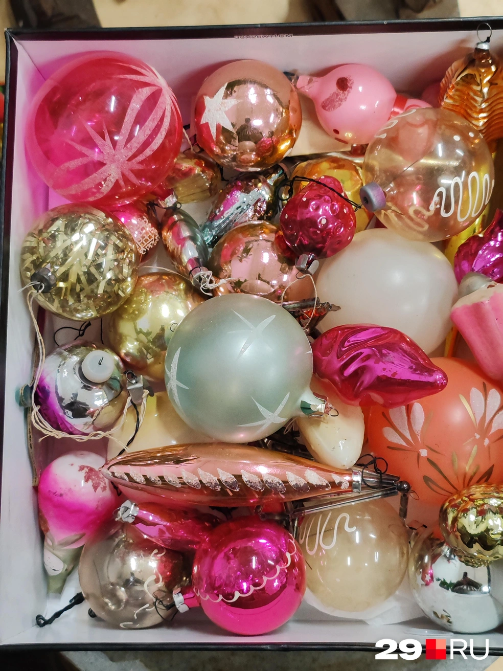 Источник: Елена Ионайтис / 29.RU