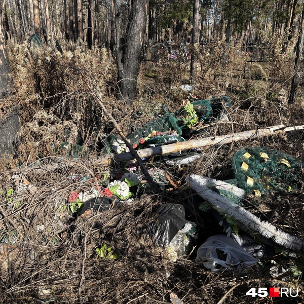 Источник: Кирилл Митин