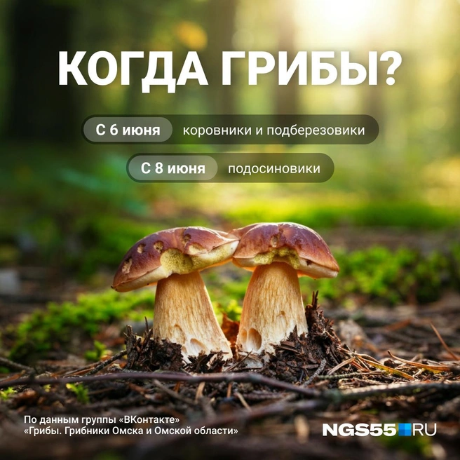 Сроки — в удобной карточке | Источник: Юрий Скулыбердин / Городские медиа