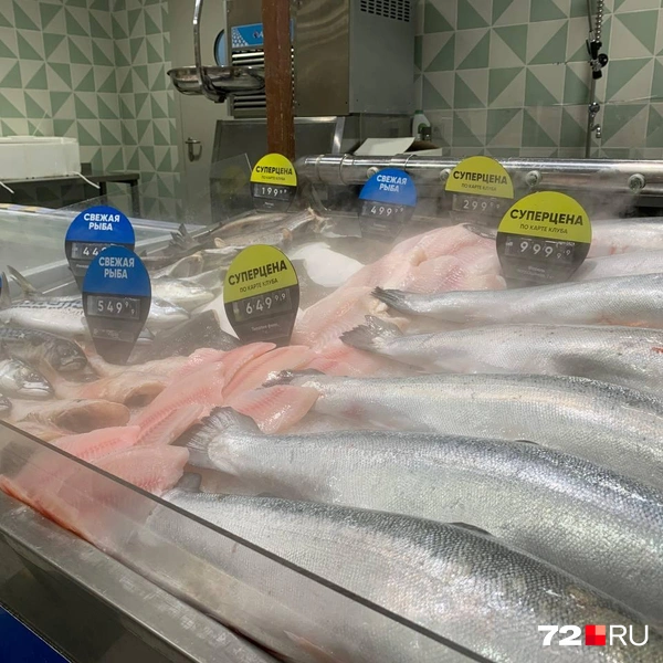 Источник: Никита Кифорук / 72.RU