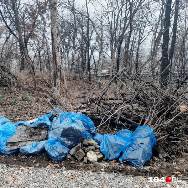 Источник: Сергей Гендин / 164.RU