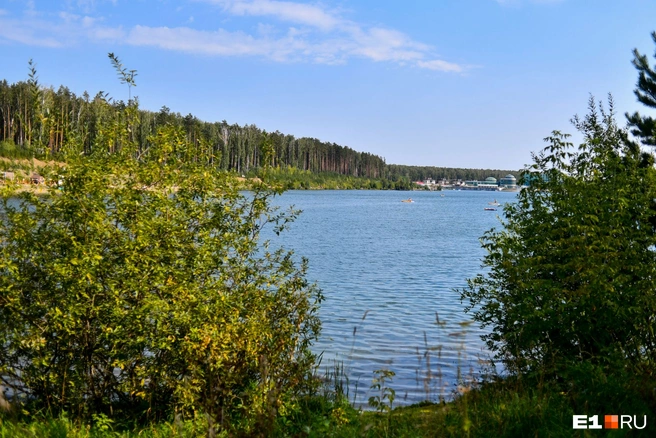 Сейчас в этом водоеме запрещено купаться | Источник: Дмитрий Емельянов / E1.RU