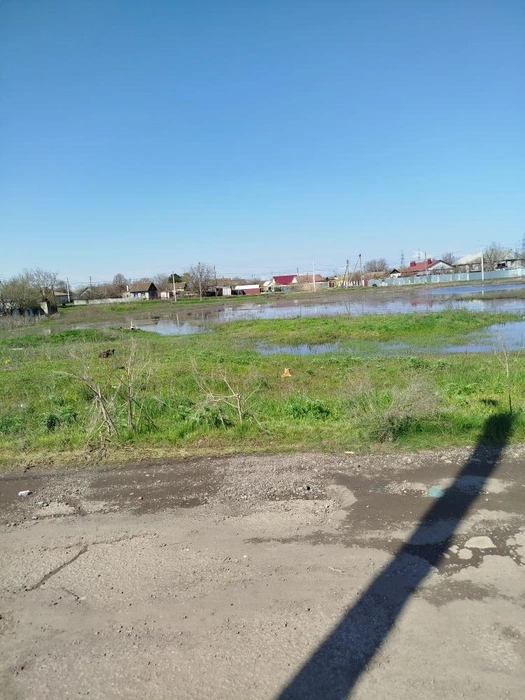 Влажные пятна на дороге, скорее всего, следствие перенасыщения грунта водой | Источник: читатели V1.RU