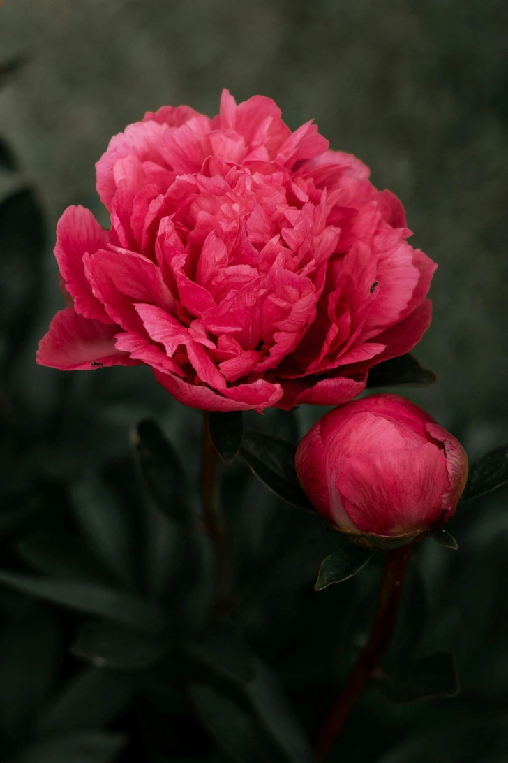 Источник: unsplash