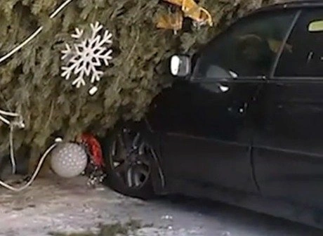 Рухнувшая новогодняя елка изуродовала три авто в Улан-Удэ | ya62.ru