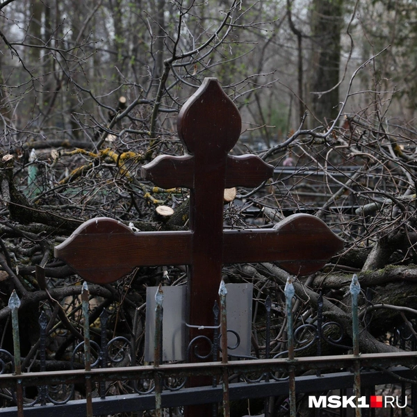 В Москве разрушили могилы срубами деревьев | Источник: читатель MSK1.RU
