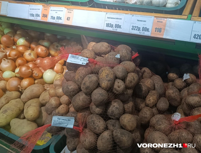 Источник: Алёна Воропаева / Voronezh1.ru