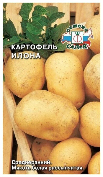 Высококачественные семена картофеля «Илона» (0,02 г)