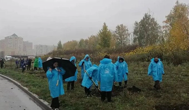 Источник: gtn-lipetsk.ru