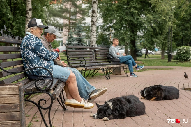 Вокруг фонтана много лавочек  | Источник: Александр Куренной / 76.RU