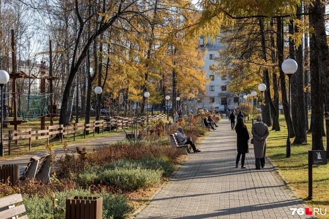 Эта аллея ведет к все еще закрытому Дворцу культуры имени А. М. Добрынина | Источник: Александр Куренной / 76.RU