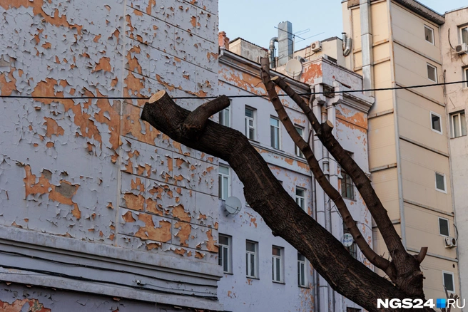 Дом красили к унверсиаде-2019 | Источник: Мария Ленц / NGS24.RU
