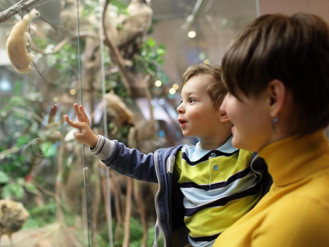 Почему важно водить ребенка в музей, и как сделать так, чтобы он не заскучал | marieclaire.ru