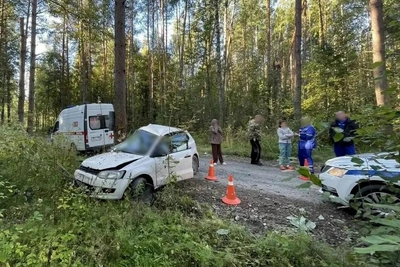 Двое погибли в ДТП под Череповцом
