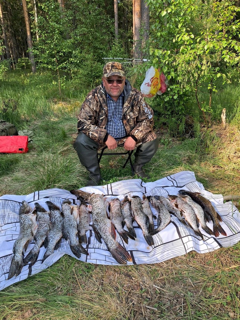 Вот это улов! | Источник: Олег Владимирович / Vk.com