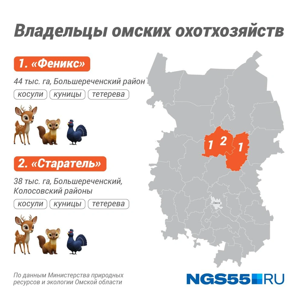 Оба охотхозяйства не смогли выйти в плюс в 2023 году | Источник: Полина Авдошина / Городские порталы