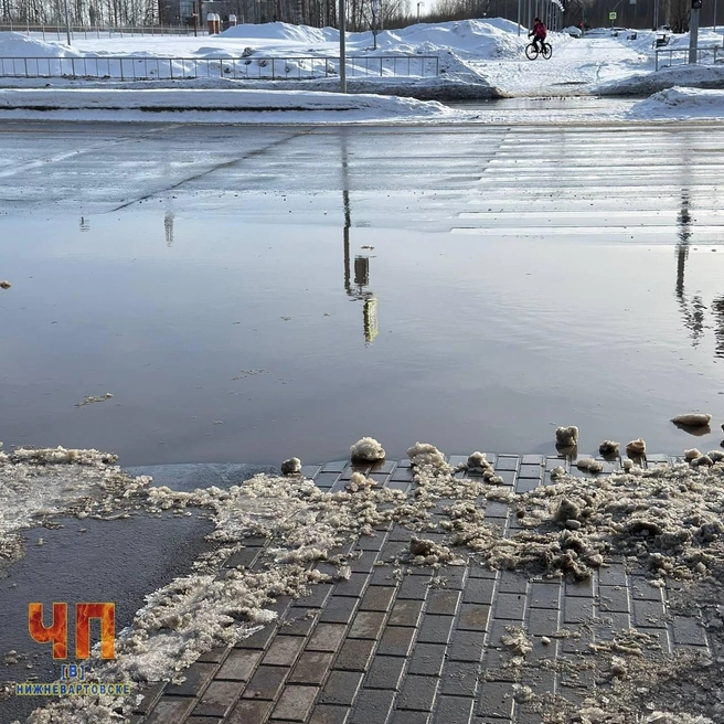 В Нижневартовске проблематично перейти дорогу | Источник: «ЧП Нижневартовск» / t.me