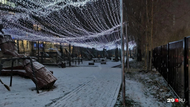 Источник: Юрий Скородумов / 29.RU