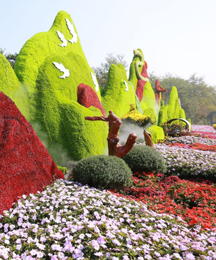 В Китае открылся фестиваль хризантем