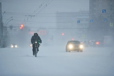 В Новосибирской области выросли зарплаты у курьеров и руководителей