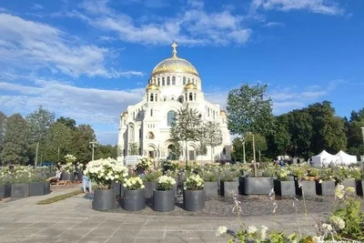 Прокуратура подала иск о недействительности контракта на сад-трансформер в Кронштадте