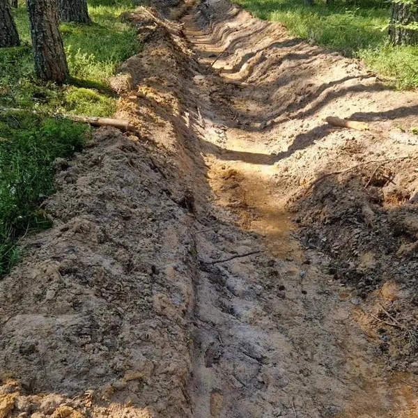 В болоте по колено в воде. Как археолог понимает, где копать | Источник: ЦСА ИИМК РАН