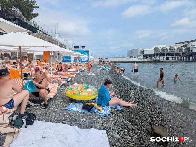 У рыжего прям многолюдно | Источник: Оксана Витязь/SOCHI1.RU