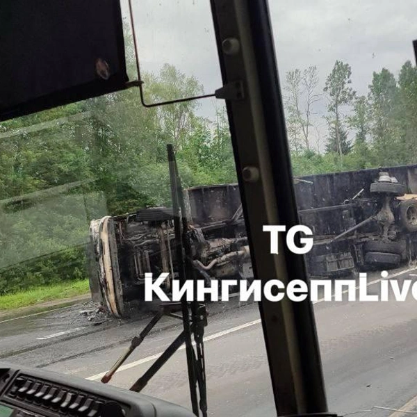 Источник: Кингисепп | Live / Телеграм