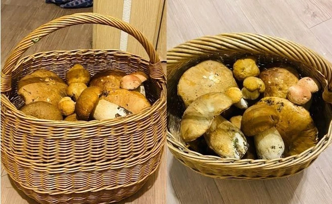 Много ценных грибочков собирают в Аргаяшском районе | Источник: Рыбалка в Челябинской области, Озера / Vk.com