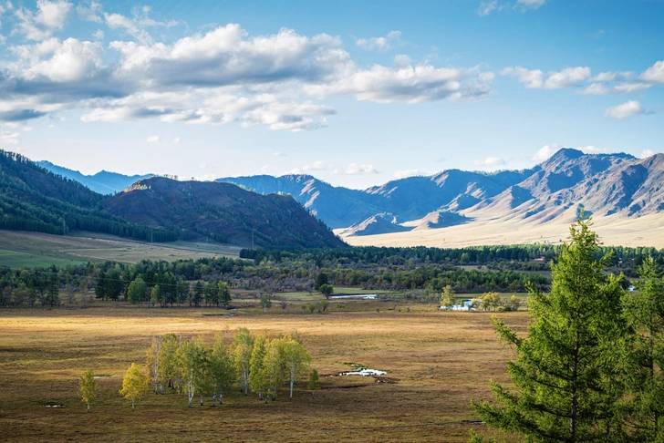 Источник: Vadim Orlov/Shutterstock/Fotodom.ru