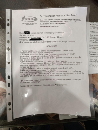 Изображение пользователя