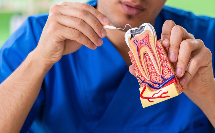 Почему нервы в больном зубе чувствуют сладкое, а на коже нет?
