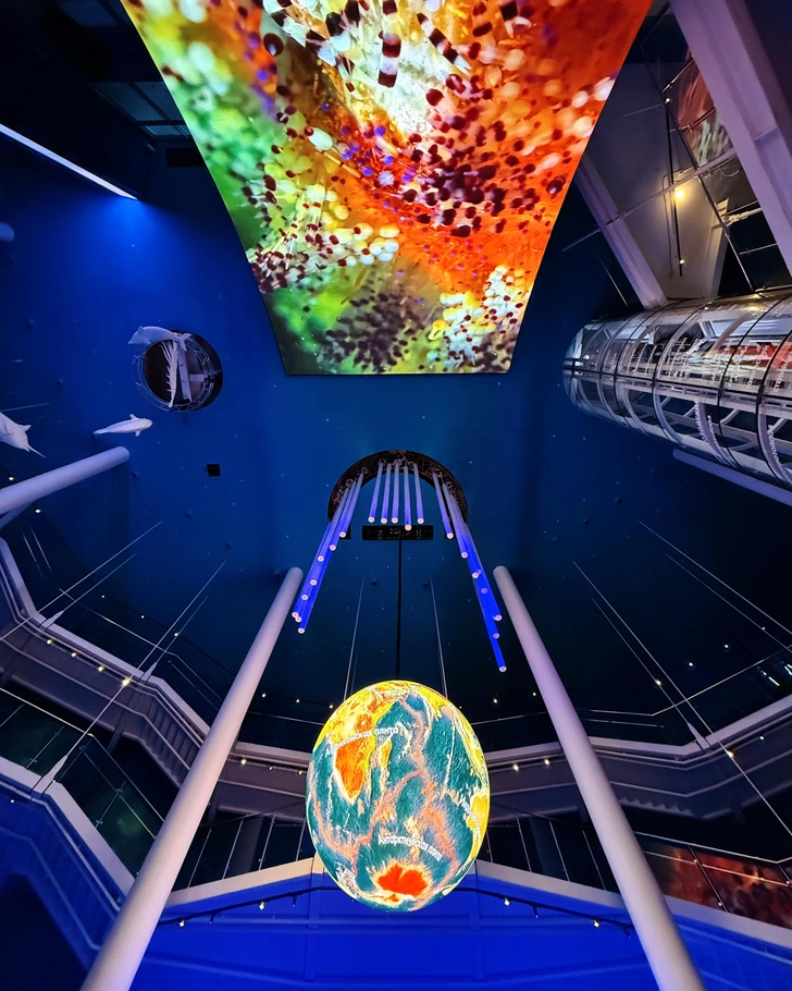 Зал «Большой Океан» | Источник: Андрей Белавин