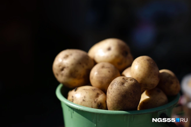 Источник: Евгений Софийчук / NGS55.RU