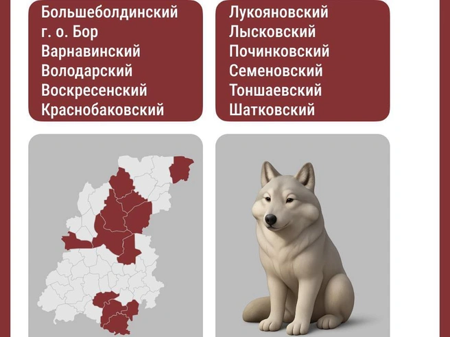Источник: Фотоматериал