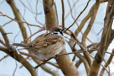 В Приморье ожидается смена погоды к концу недели