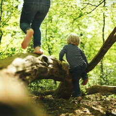 Осторожно, клещ: где обитают, чем опасны и как оказать первую помощь — 10 фактов о переносчиках инфекции