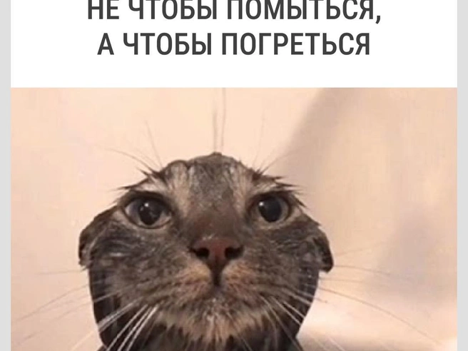 Отличный способ, пока в квартире не появилось отопление | Источник: Городские медиа